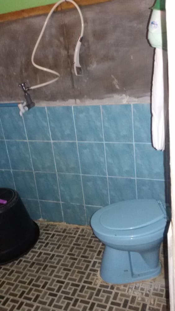 Green Lodge Tangkahan