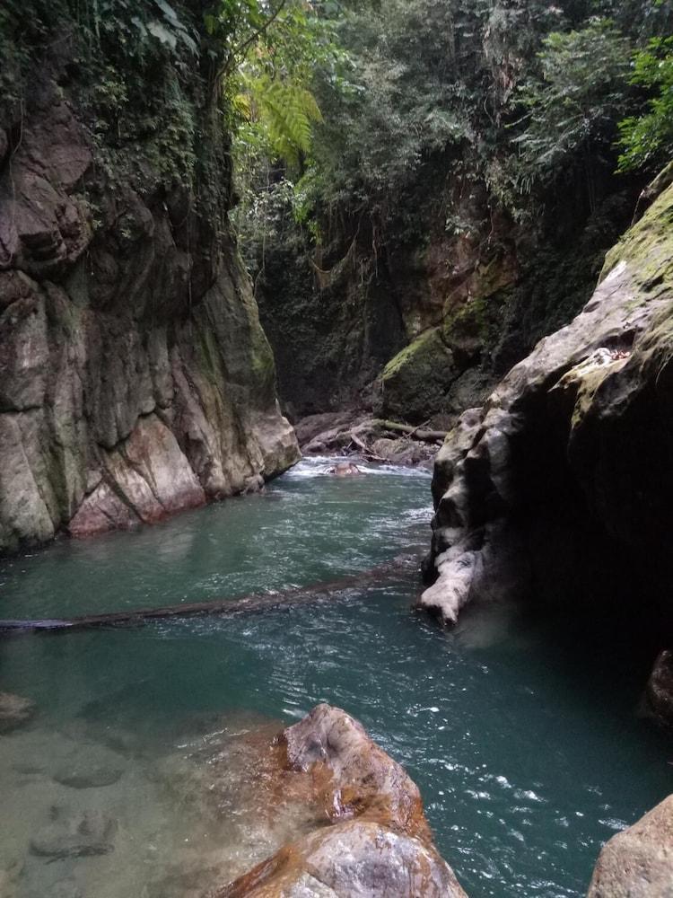 Green Lodge Tangkahan