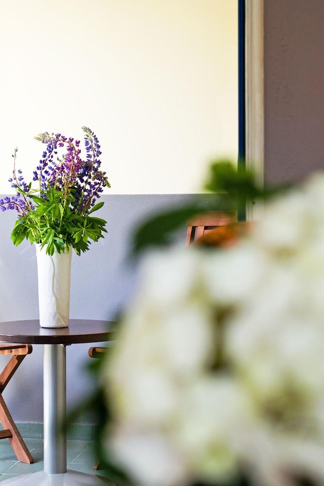 Best Baltic Hotel Palanga