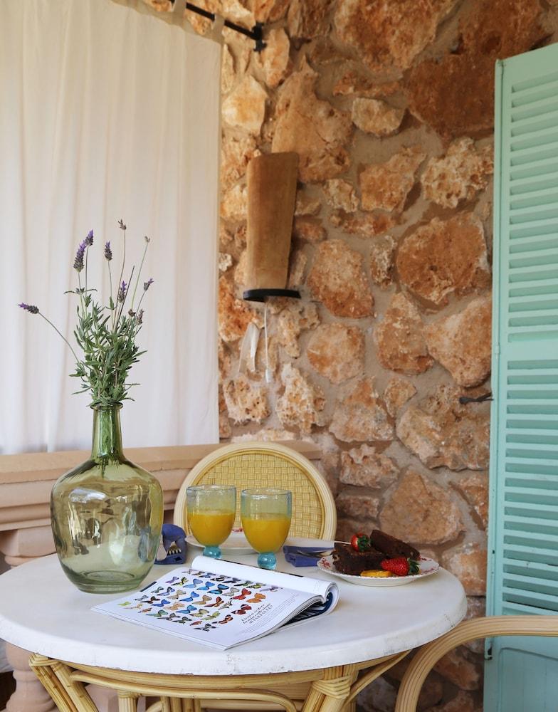 Hotel Rural Es Turó