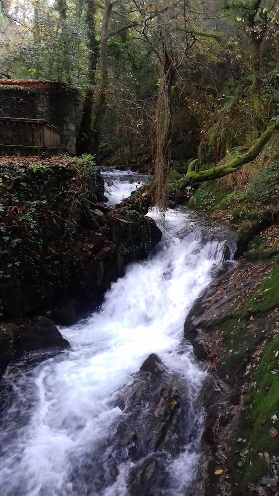 Barn Loft With Tree top Views