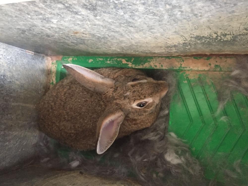 Romantic House for 2 People With Jacuzzi