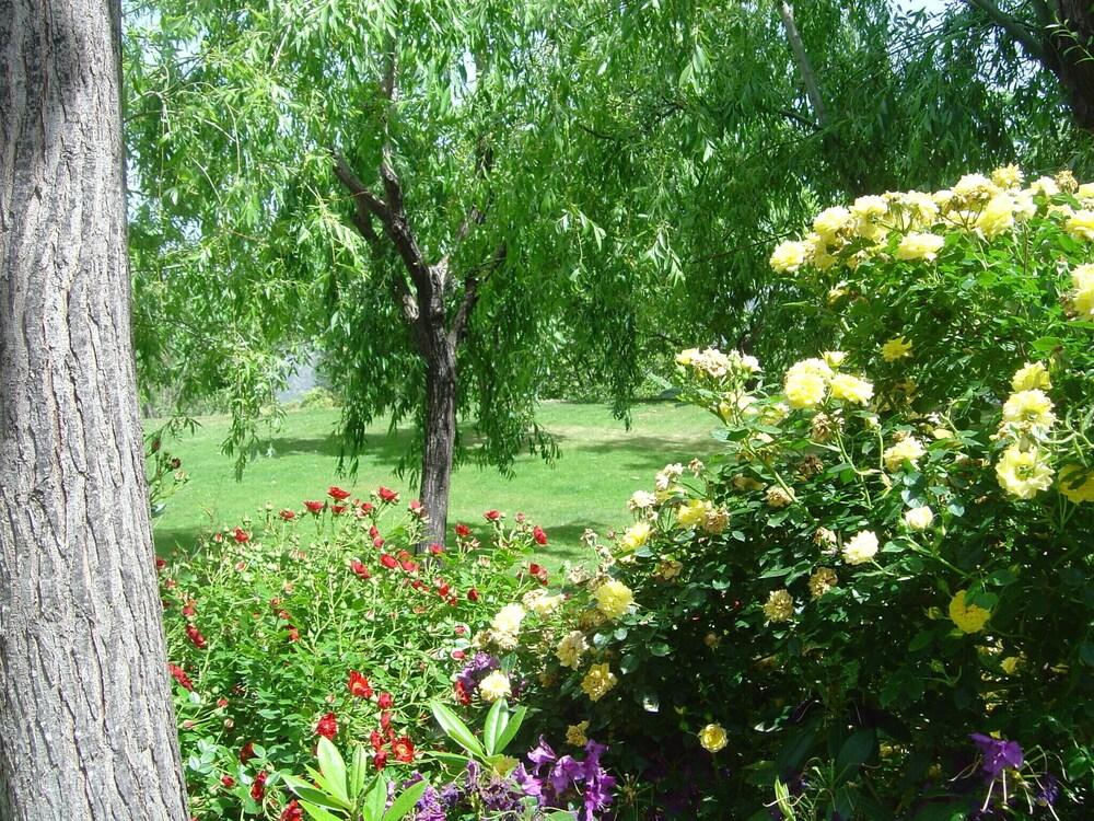 Small Complex With Pool in the Alpujarras, Granada