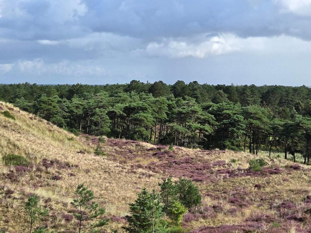 6 Person Holiday Home in Blavand