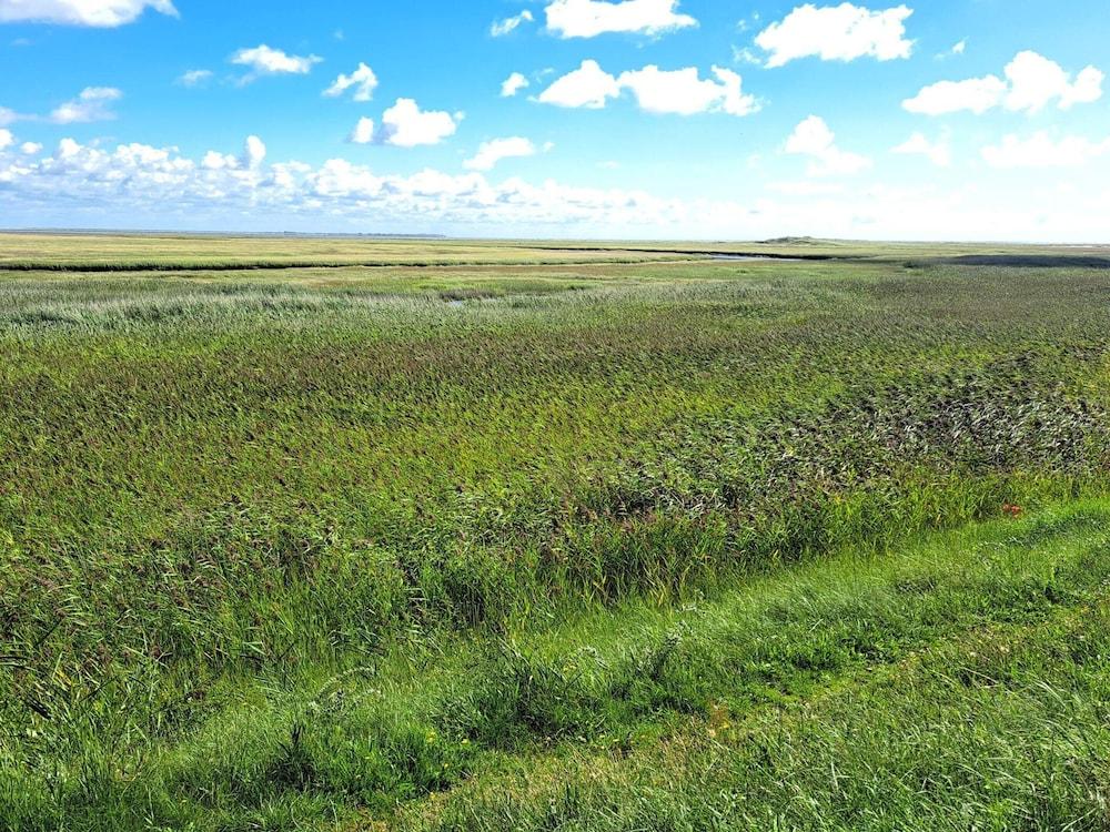 7 Person Holiday Home in Fano-by Traum