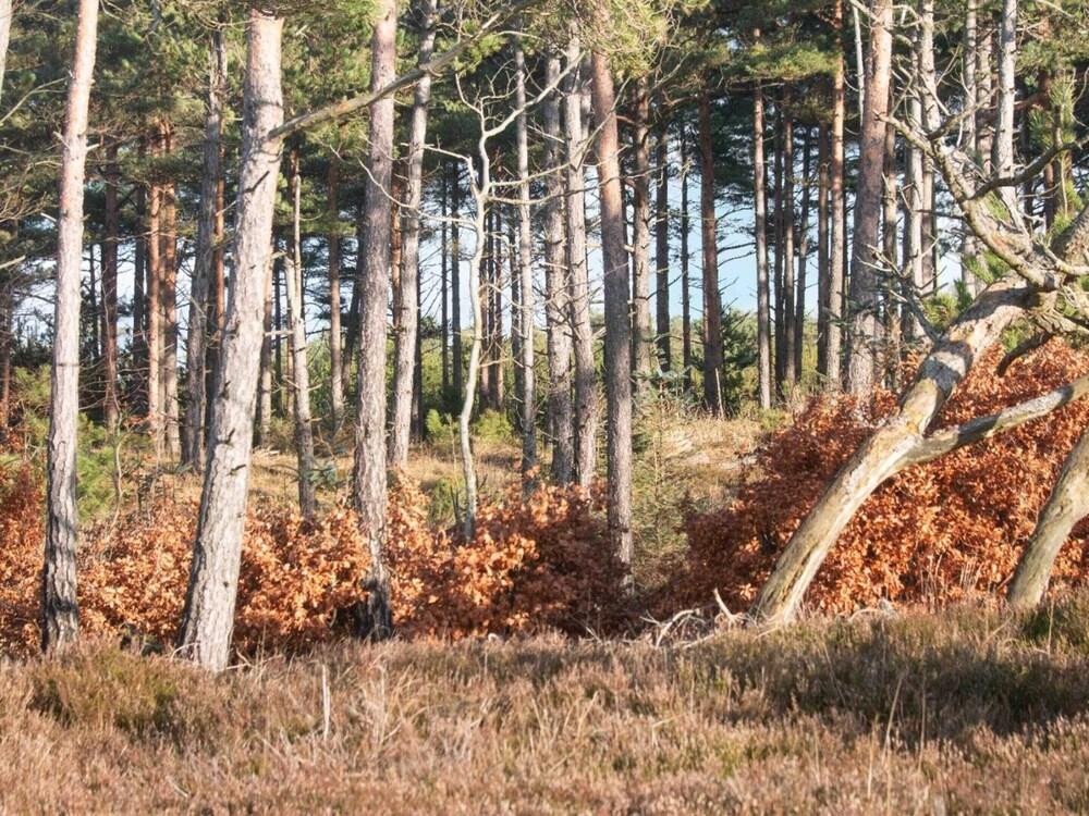 6 Person Holiday Home in Oksbol-by Traum