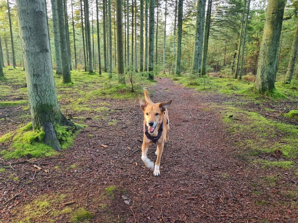 8 Person Holiday Home in Albaek-by Traum