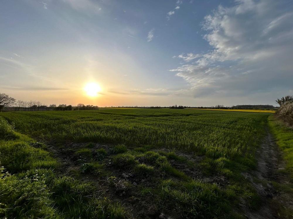 6 Person Holiday Home in Haderslev-by Traum