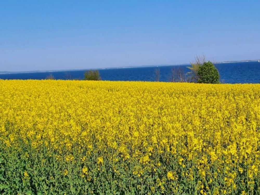 8 Person Holiday Home in Sydals