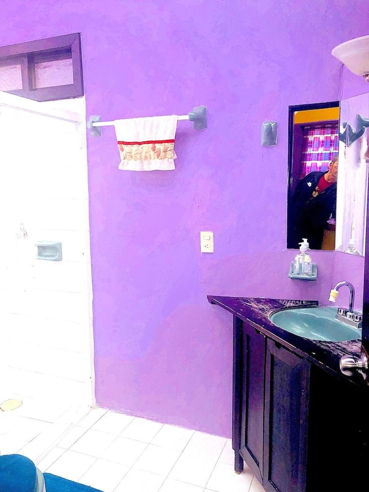 Amazing House of View