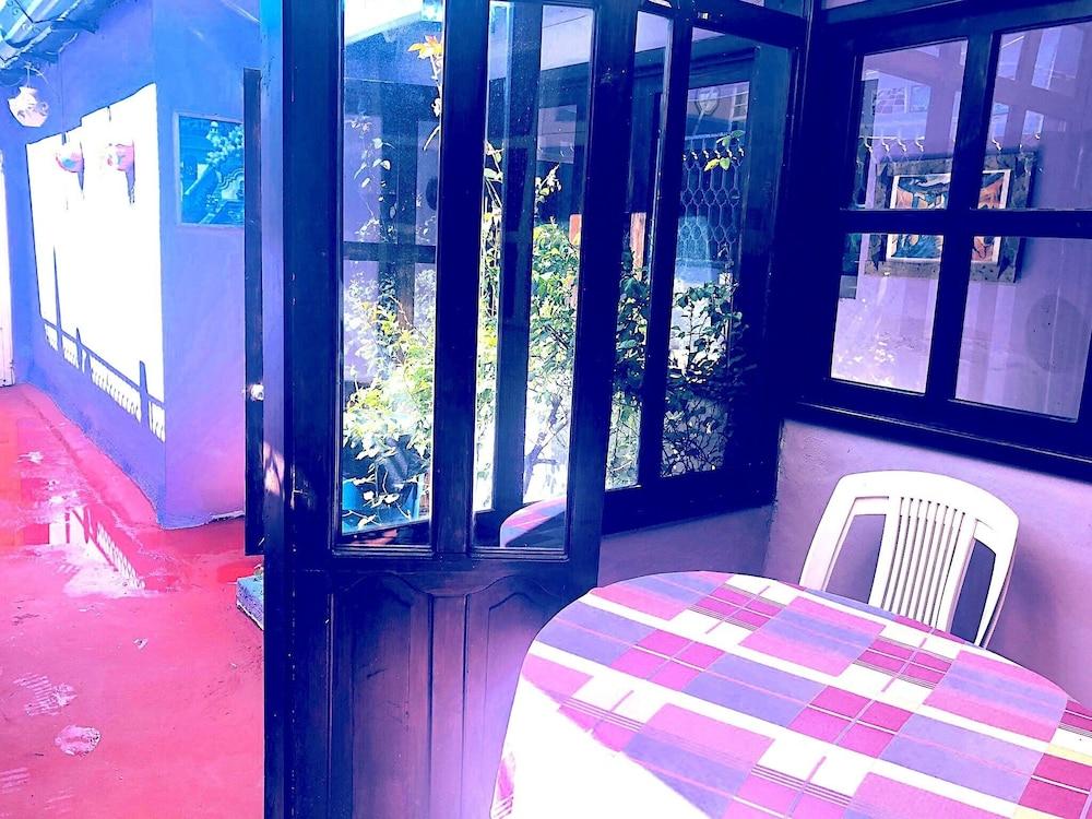 Amazing House of View