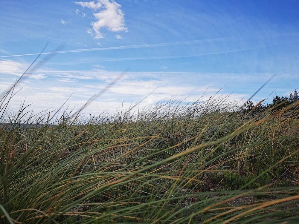 5 Person Holiday Home in Rodby-by Traum