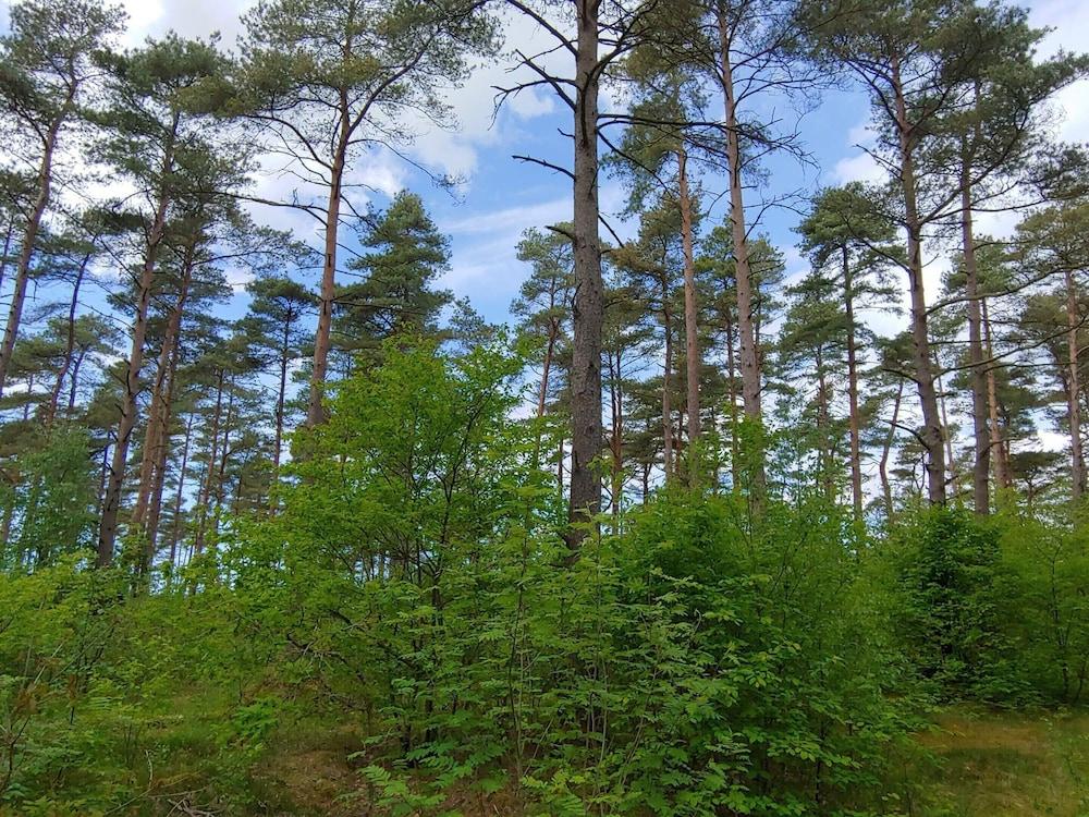 8 Person Holiday Home in Oksbol-by Traum