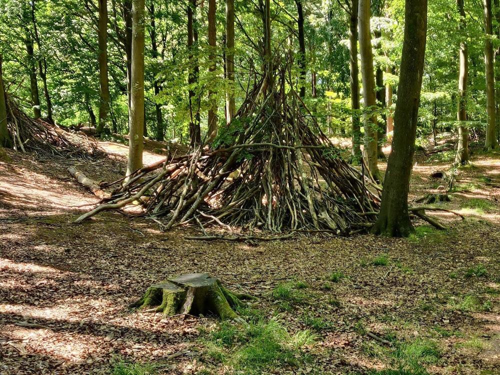 8 Person Holiday Home in Oksbol-by Traum