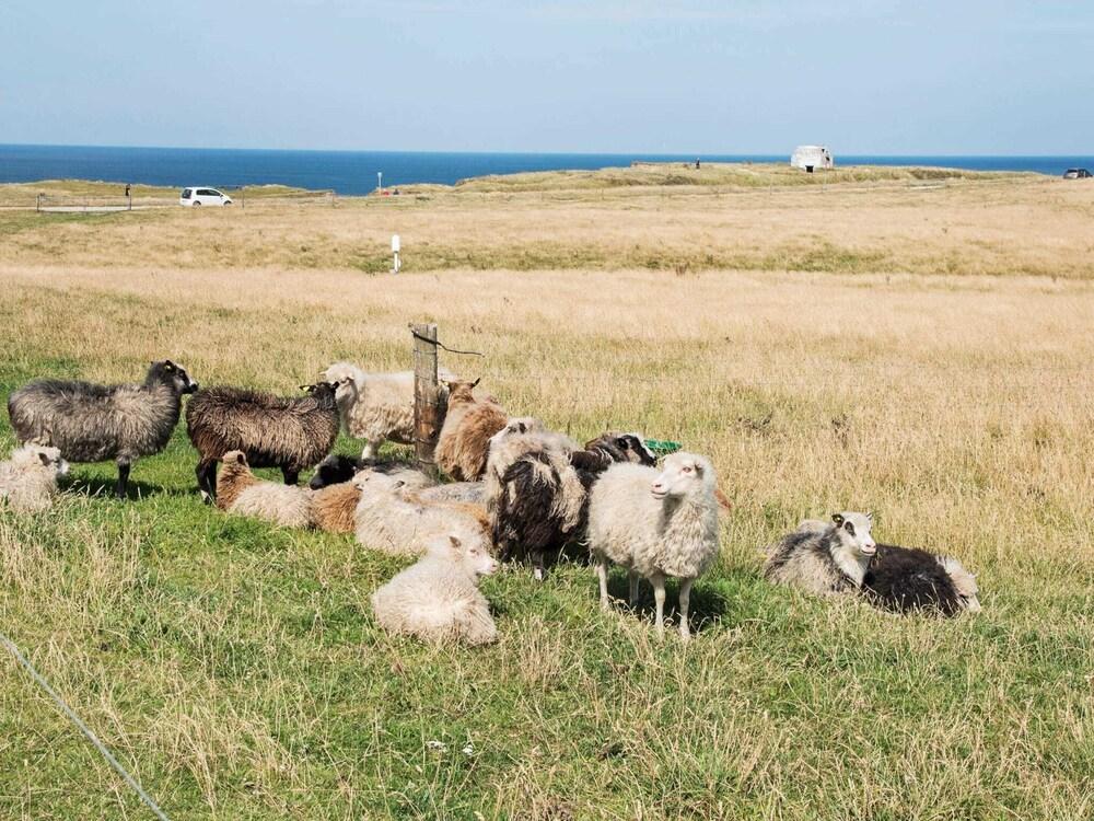 4 Person Holiday Home in Lemvig-by Traum