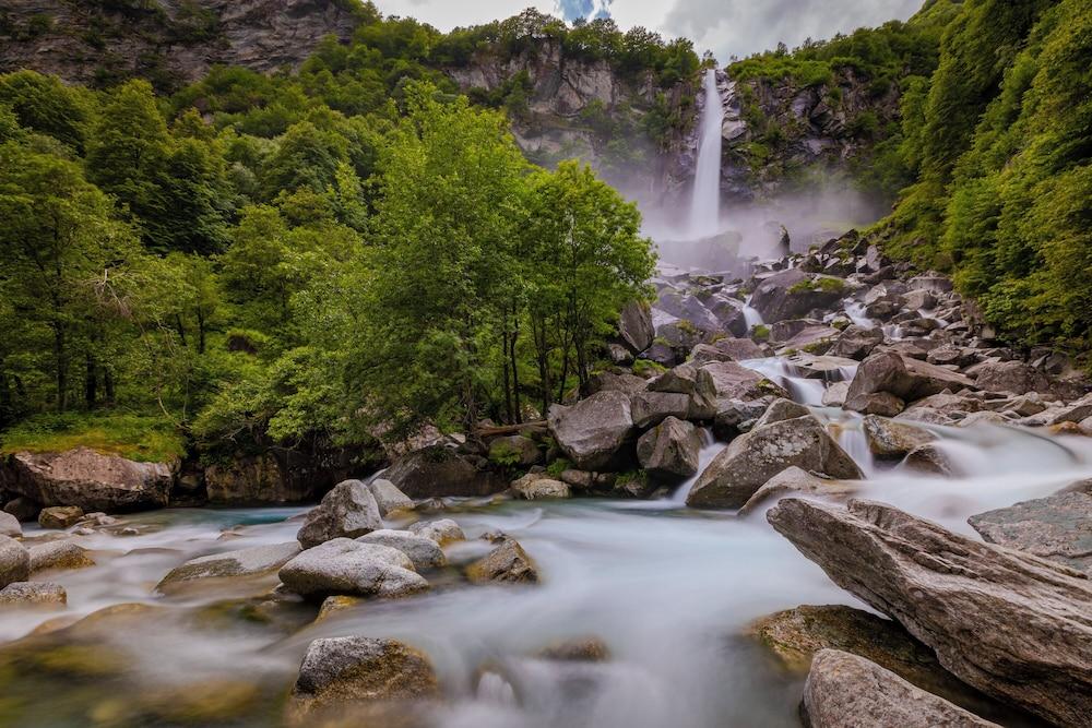 Garden on the lake 2