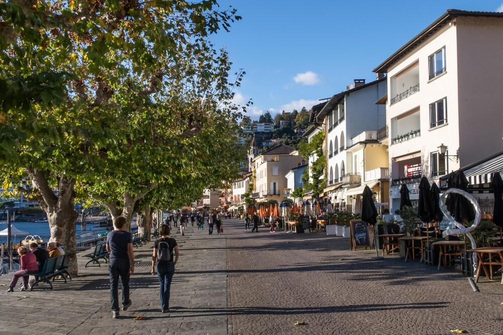 Garden on the lake 2