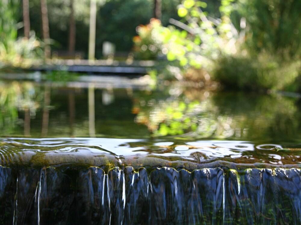 Markelo Lodge Near Trails