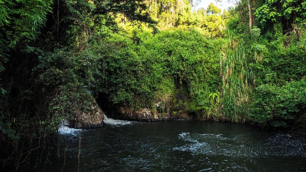 TheAnabas Trout & Seafood Grill