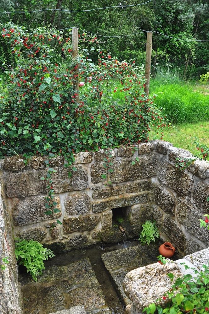 Room-paradise is Real at Vale Martinho S