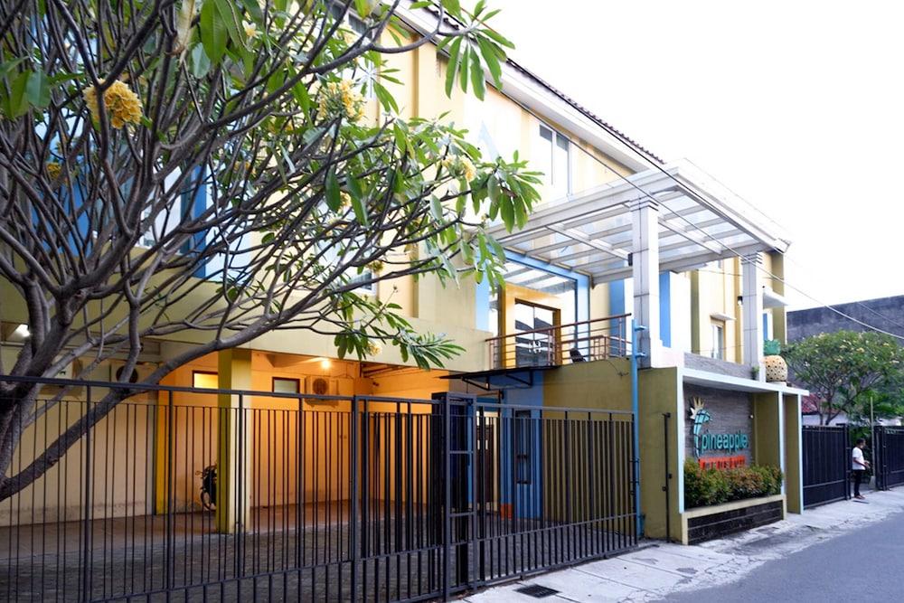 Pineapple Mansion Solo