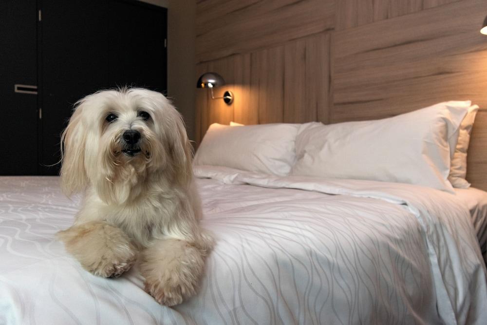 Pullman Santiago Vitacura