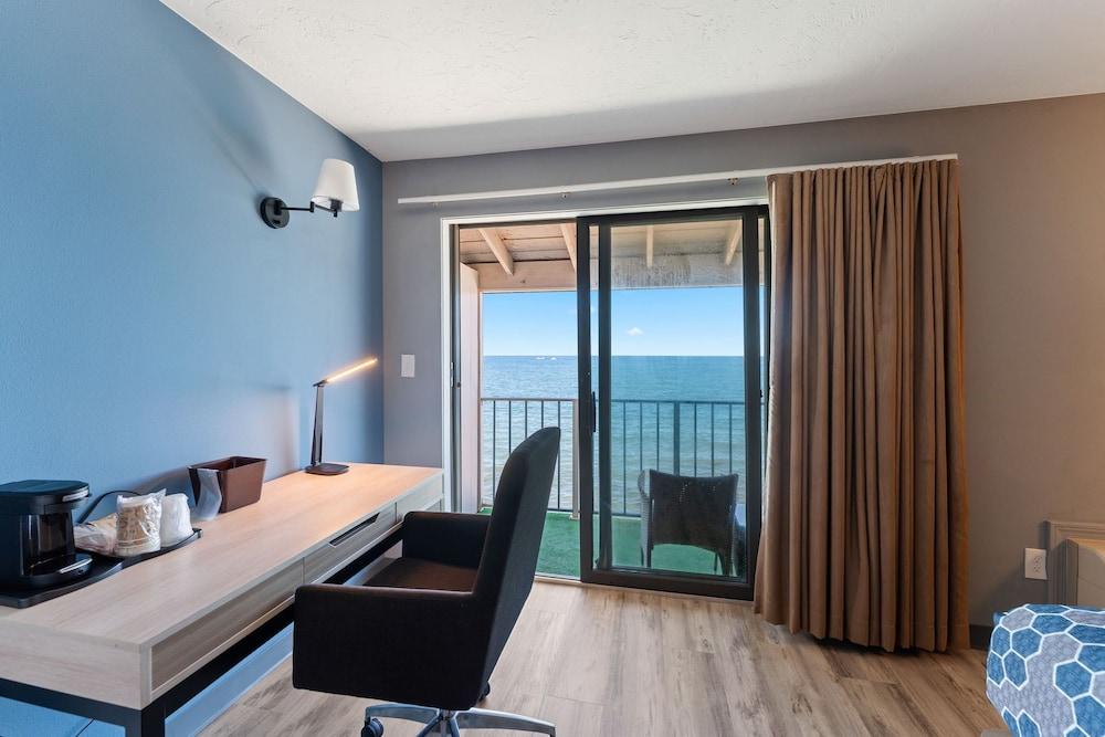 Pilgrim Sands on Long Beach