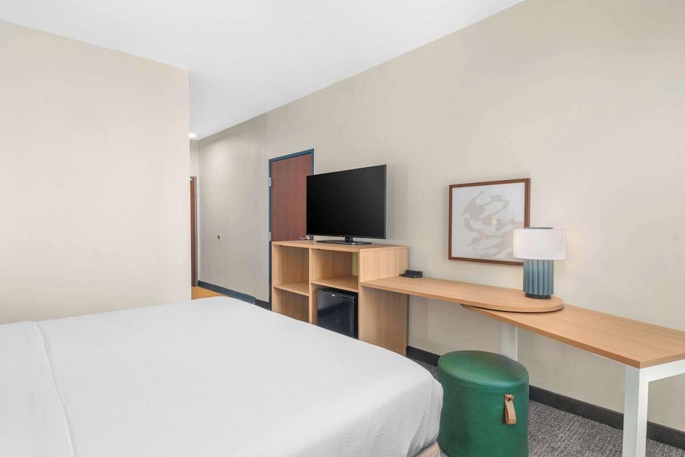 Spark by Hilton Minot