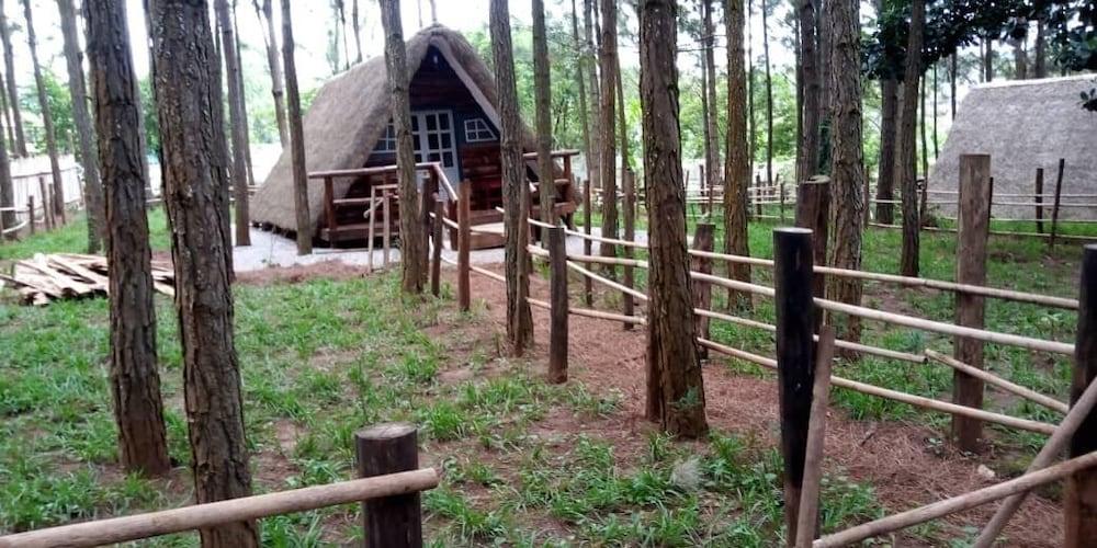 Nyungu Yamawe Forest Park