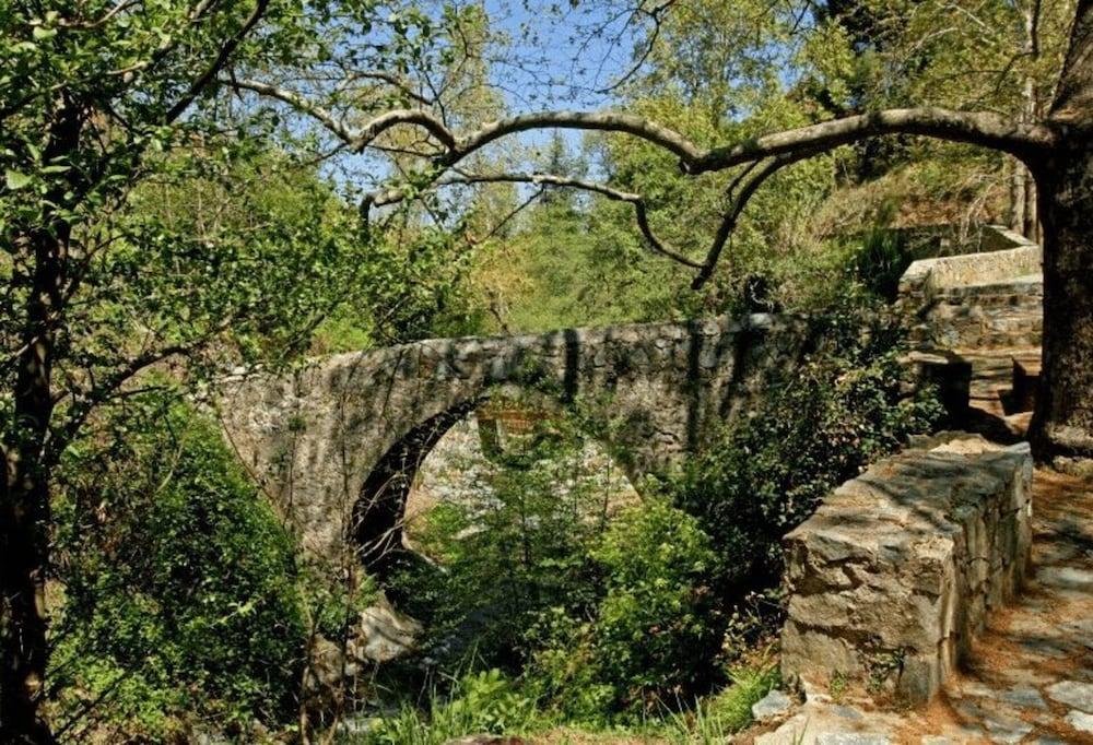 Your Traditional Holiday Cottage, Nicosia 1004