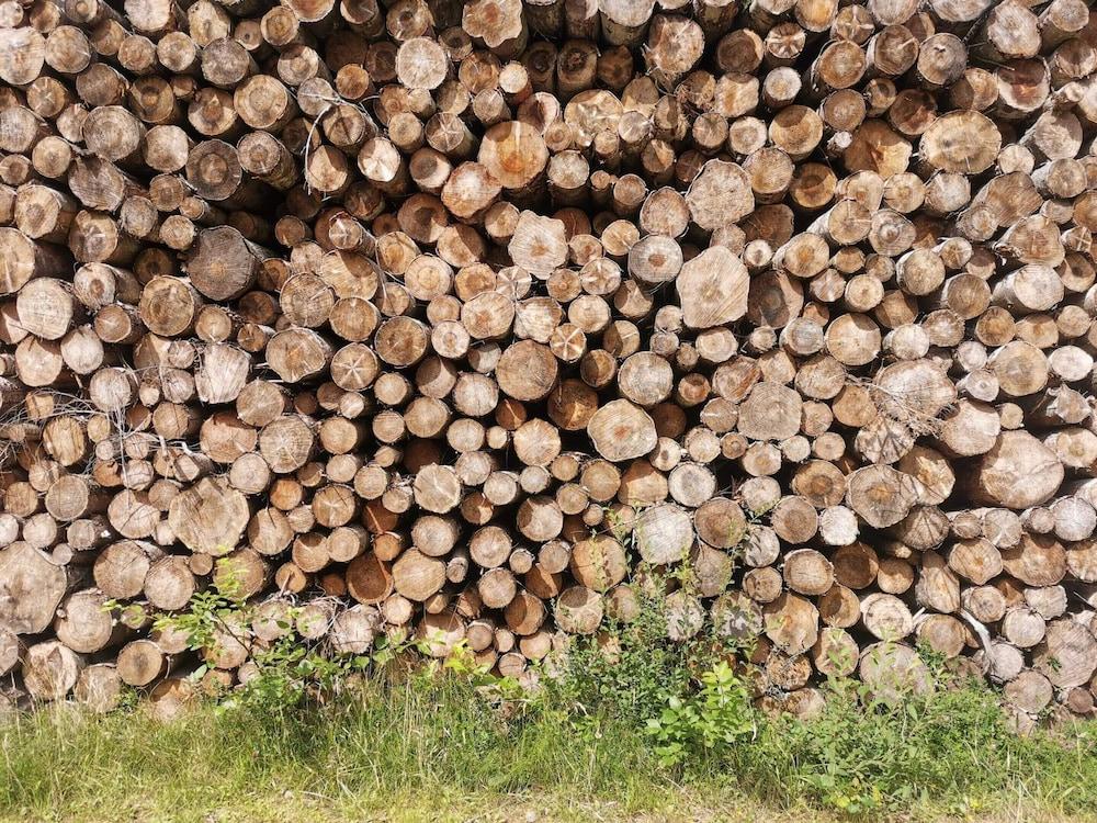 Holiday Home in LÃ¦sÃ¸