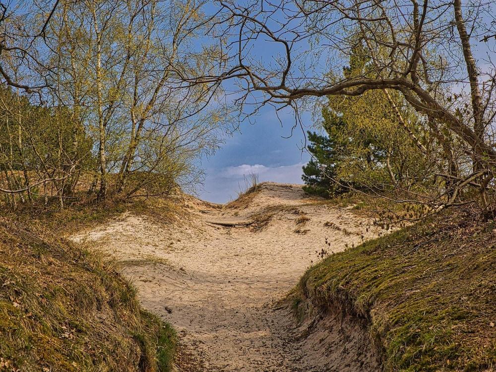 4 Person Holiday Home in Borkop