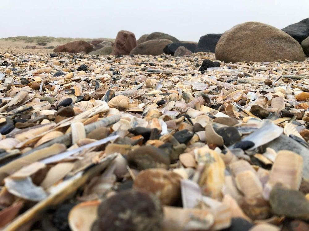 Charming Cottage Retreat-by Traum