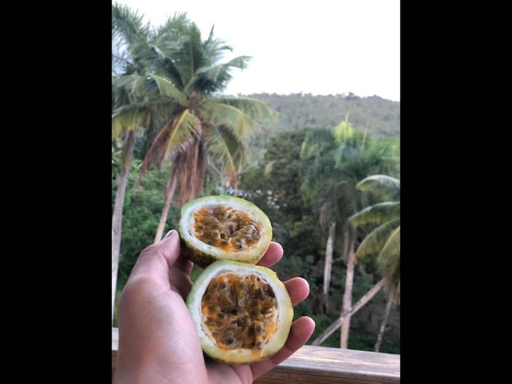 Private Terrace - Apartment 2 in Villa Coconut