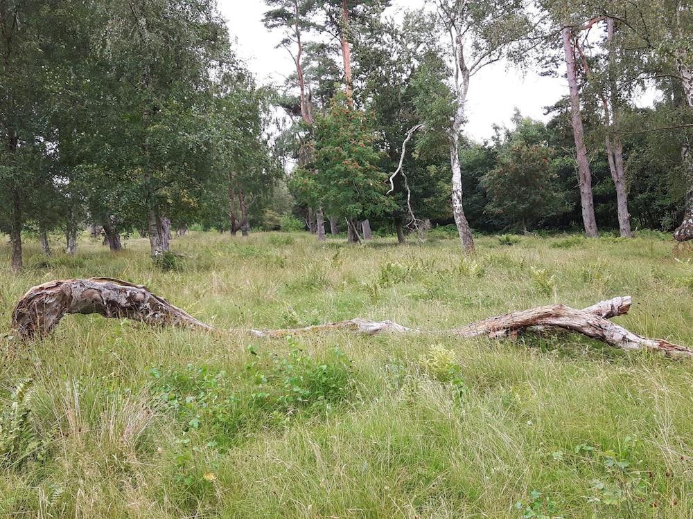 Holiday Home in VÃ¦ggerlÃ¸se