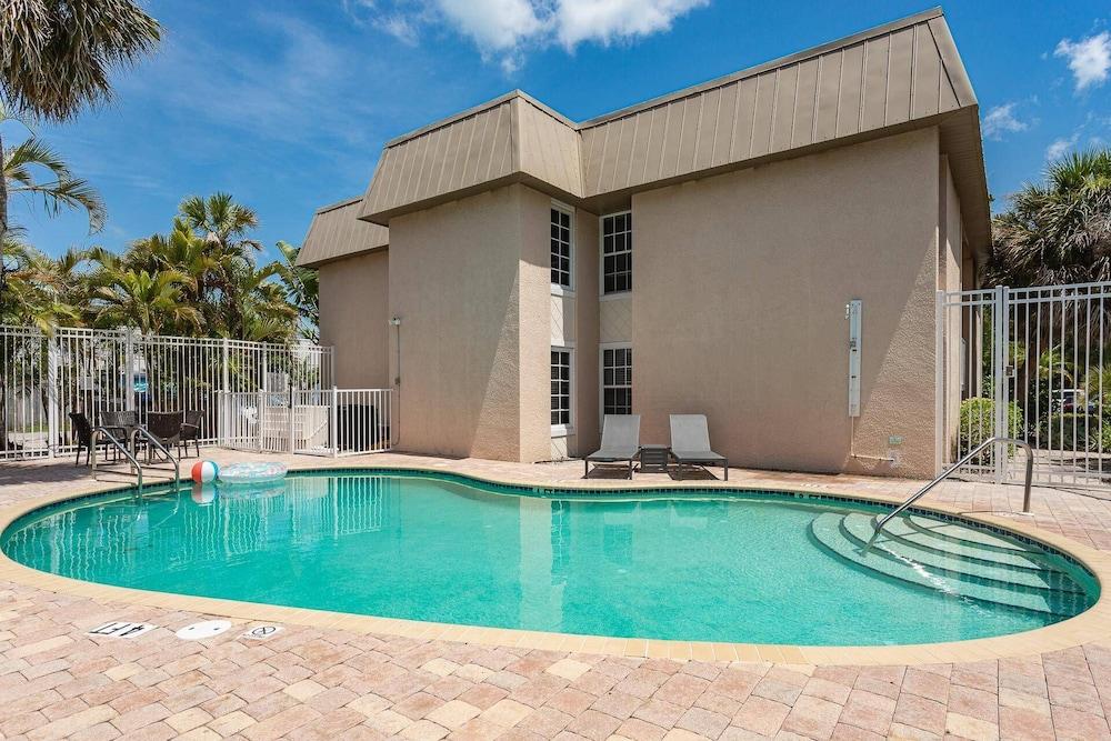 Minorga Sand Dollar on the Key