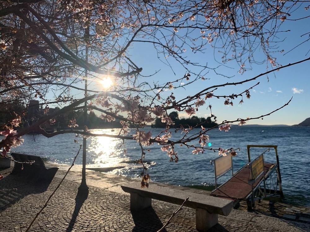 Apartment in a Liberty Style House - Free Wifi