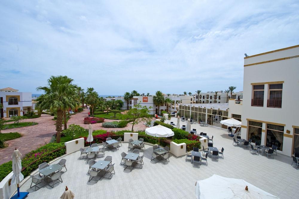 Amphoras Blu Ultra-AI Adults Friendly