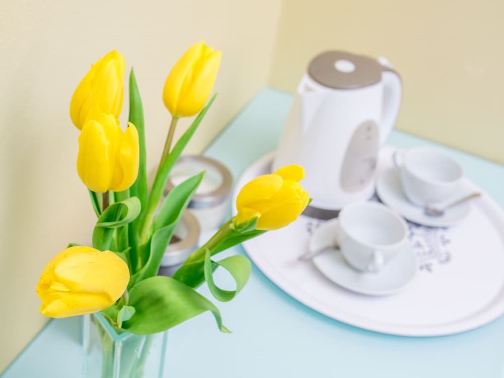 Izmaylovsky mini-hotel - Hostel