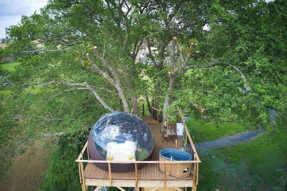 Les Bulles Perchées de Lartigue