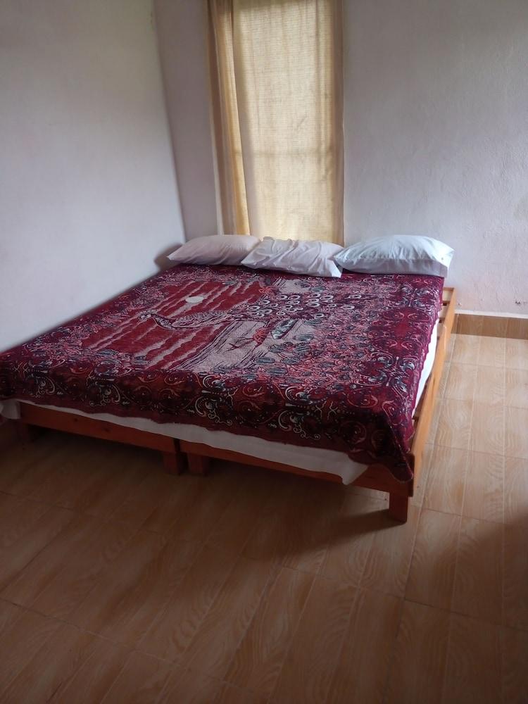 Room-lodging and Camping the Island