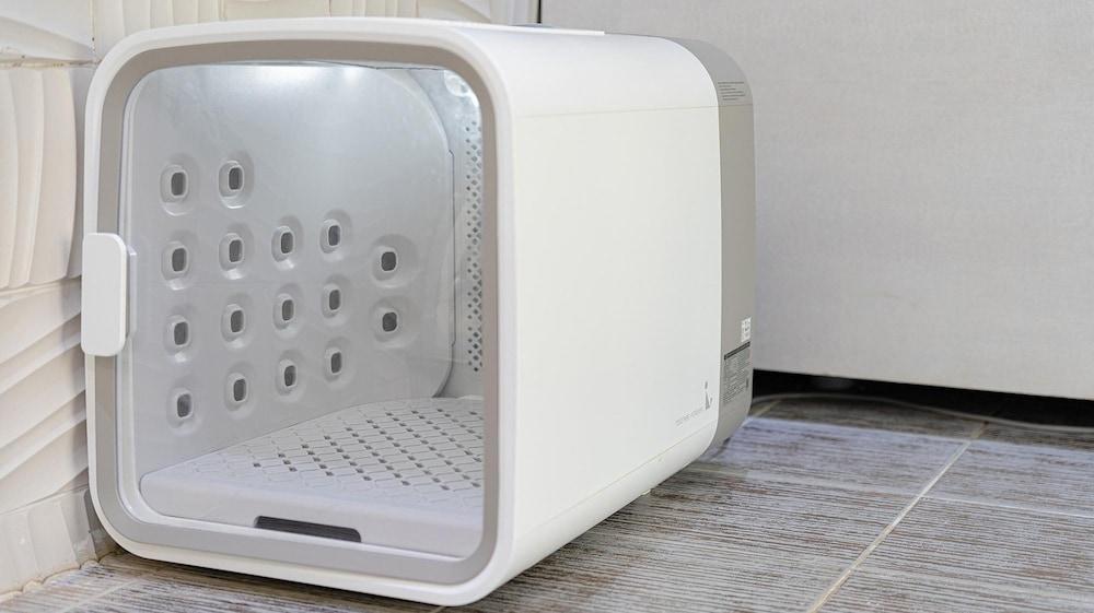 Gapyeong Highmong Pet-friendly Kids Pool