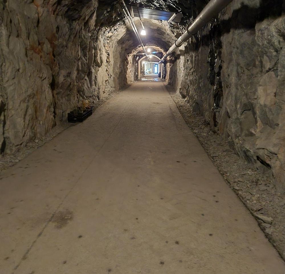 Cave Retreat - Sleeps 2 - Pets - Parking - Wifi