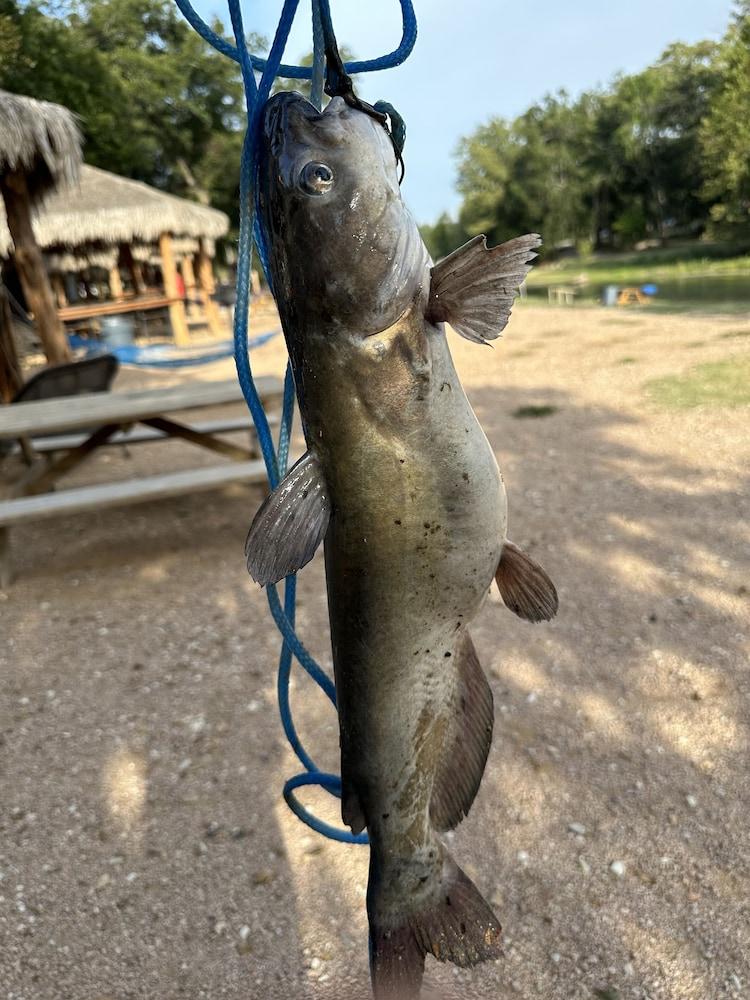 Son's Blue River Camp - Glamping Cabin #1