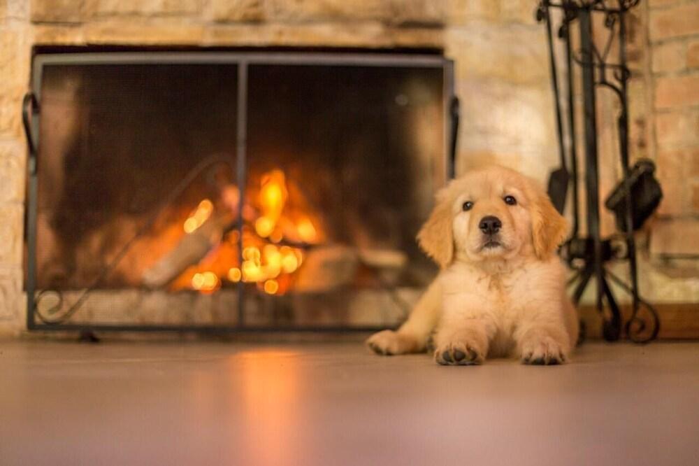 Pousada irreplaceable