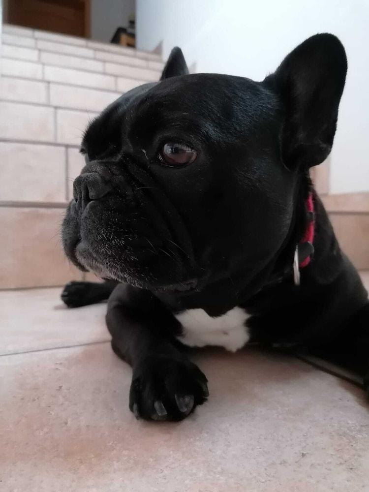 Weingut & Gästehaus Andreas Erz