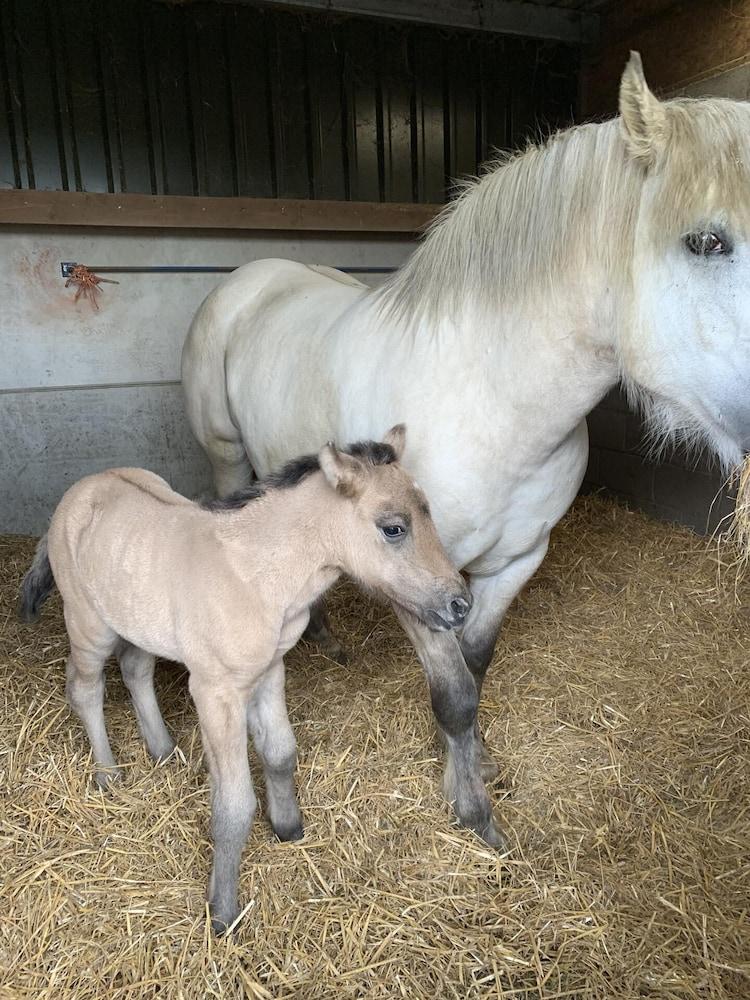 Remarkable 1-bed Apartment in Huntingdon