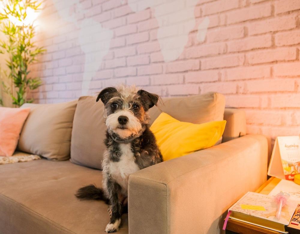 LOCAR-IN GRAMADO- Onze-1