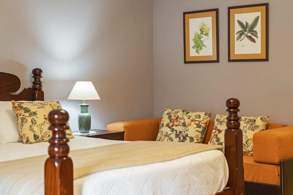 In Laurissilva Forest, Casa do Lanço -carvalho