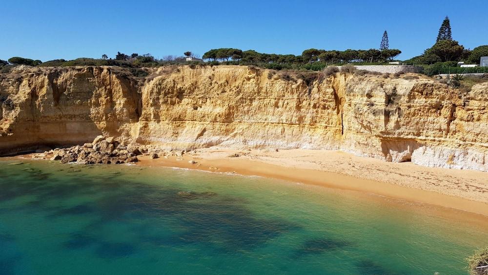 Magnific Studio With a Cozy Garden 5 Minutes to the Beach